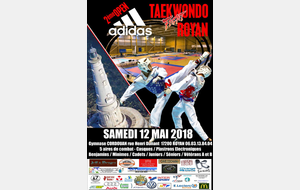 Poitou Charentes : 2e Open Taekwondo Fight Royan