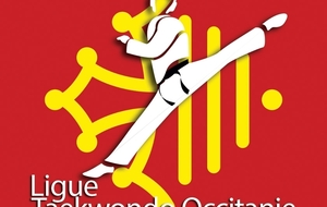 Championnat de France "Sélection Régionale Occitanie" + Critérium Régional Poomsae - Saint Sulpice La Pointe (81)