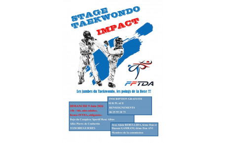 Stage Taekwondo Impact